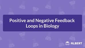 (2014) what makes humanitarian feedback mechanisms work? Positive And Negative Feedback Loops In Biology