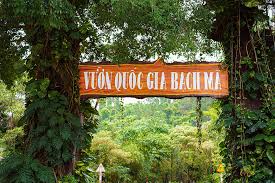 Hiking in Bach Ma National Park