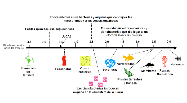 Hacia la comprensión del origen de la vida en la Tierra | Academia de  Ciencias de Morelos, A.C