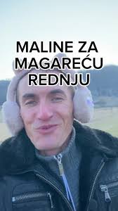 Maline za magareću rednju