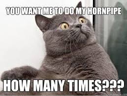 An Irish Dancer S Worst Nightmare Funny Cat Memes Humor Funny Pictures