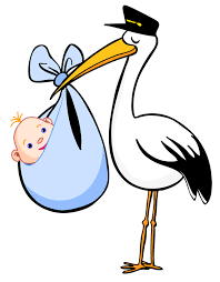 Stalk With Baby Google Search Baby Clip Art Baby Stork Baby Drawing