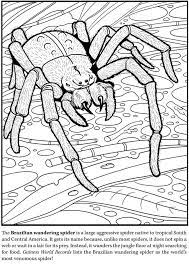 Over 100 of the best spiderman coloring pages. Pin On Coloring Pages 2nd Edition