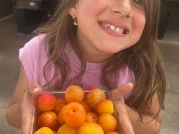 Looking for a produce stand in the Elkhart area that is opened during the  week.