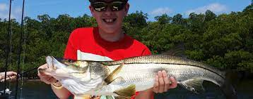 Petersburg and rated 4 of 5 at tripadvisor. St Petersburg Fishing Guide Inshore Charters St Pete
