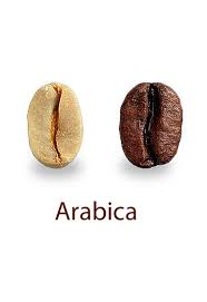 Phân biệt hạt cà phê Arabica và Robusta - Victoria Arduino