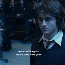 Harry Did You Put Your Name in The Goblet