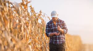 We did not find results for: Obtaining Farm Loans With Bad Credit How To Cultivate Business Growth