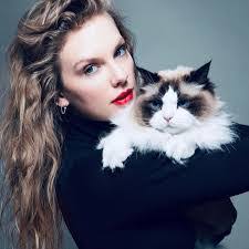 Shawn Deena's Instagram, Twitter & Facebook