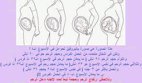 إرتداء الملابس الواسعة الفضفاضة وعدم إرتداء الكعب العالى وإرتداء الأحذية الأرضية وممارسة تمرينات الحمل التى يصفها الطبيب والإهتمام بالمشى. Ø§Ø¹Ø±Ø§Ø¶ Ø§Ù„Ø­Ù…Ù„ Ø¨ÙˆÙ„Ø¯ Ø§Ù„Ø§ÙƒÙŠØ¯Ø© Ø§Ø¹Ø±Ø§Ø¶ Ø§Ù„Ø´Ù‡Ø± Ø§Ù„Ø³Ø§Ø¯Ø³ Ù…Ù† Ø§Ù„Ø­Ù…Ù„ Ø¹Ø§Ù„Ù… Ø­ÙˆØ§Ø¡