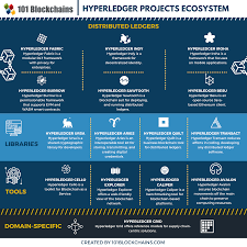 You may think hyperledger is a single cryptocurrency, blockchain or company people generally believe hyperledger to be a cryptocurrency, a blockchain or a company. What Is Hyperledger Beginner S Guide 101 Blockchains