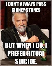 I Don T Always Pass Kidney Stones But When I Do I Prefer Ritual Suicide The Most Interesting Man In The World Quickmeme