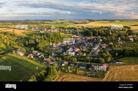 Image result for puklice