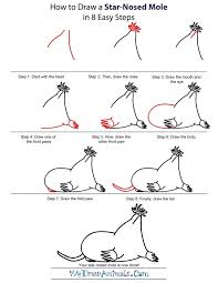 Easy Drawing Tutorials How To Draw A Star Nosed Mole Drawing Tutorial Easy Easy Drawings Drawing Tutorial