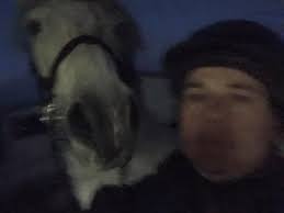 Hey, loves! Who needs followers this week?!? I'm ready to follow and  engage. (I know I said that Friday, but all heck broke loose when we  discovered my horse had sustained a