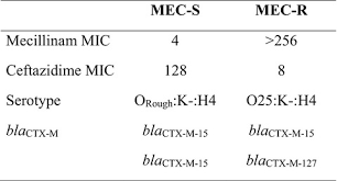 Смотреть что такое mecillinam в других словарях: Mutational Change Of Ctx M 15 To Ctx M 127 Resulting In Mecillinam Resistant Escherichia Coli During Pivmecillinam Treatment Of A Patient Nielsen 2019 Microbiologyopen Wiley Online Library