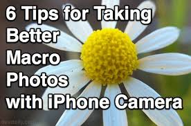Learn more about taking photos with iphones with our iphone photography ebook. 6 Tips For Taking Better Macro Photos With The Iphone Camera Osxdaily