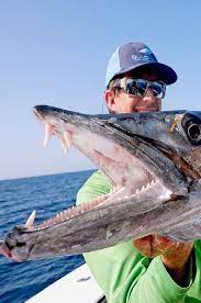 Biggest Kingfish I Ve Ever Seen While Barracuda Fishing Fish Hunt Buzz Sea Fishing Deep Sea Fishing Outfit Ocean Fishing
