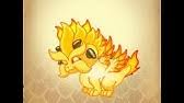 This means many combinations are possible. How To Breed Gold Dragon 100 Real Dragonvale Wbangca Youtube