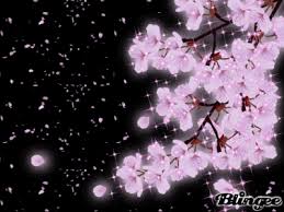 5,000+ vectors, stock photos & psd files. Pin By Rachiel Chapman On Ybk 67 Anime Cherry Blossom Cherry Blossom Images Anime Scenery