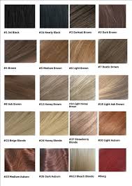 28 Albums Of Human Hair Color Chart Explore Thousands Of