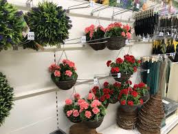 Check spelling or type a new query. Apithanny On Twitter What Are You Thinking Tesco Real Bedding Plants Are Bad Enough Most Aren T Beneficial To Pollinators But Hanging Baskets Filled With Plastic Flowers If You Haven T Heard We Re In