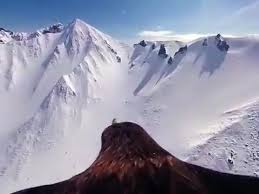 Pov Of An Eagle Flying Over The French Alps Video Animals Beautiful Cute Animals Funny Animals