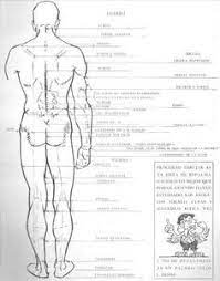 Tecnica Para Dibujar Persona De Espalda Body Drawing Tutorial Anatomy Anatomy Reference