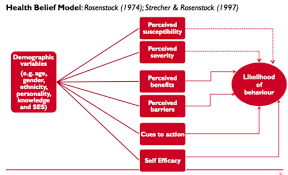Purpose And Elements Of The Health Belief Model Flashcards Quizlet