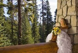 Sequoia Weddings Packages Redwood Wedding National Park Wedding California Wedding