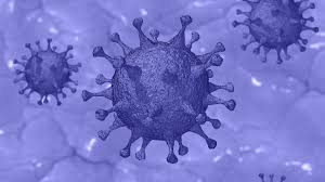 Chasto Zadavaemye Voprosy Chto Nuzhno Znat O Koronaviruse Estoniya Err