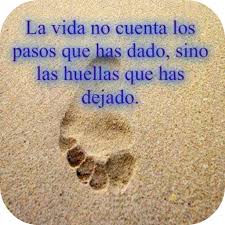 Se suele decir que cuando se ha aprendido y dominado el noble arte de vivir, los años dicen que ya es hora de partir. Reflexiones De Vida Aplicaciones En Google Play