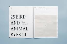 Tabloid paper size and other dimensions in the newspaper series. The Eye Of The Beholder Weird Wonderful Eyeballs In Print Newspaper Club