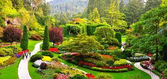 Image result for garden