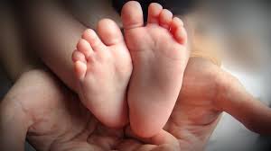 Any of a group of nine babies born from the same mother during the same birth. Qy 4kyl 8hno8m