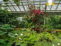 Der botanische garten potsdam wurde 1950 auf dem gelände des ehemaligen terrassenreviers am nordrand der parkanlage sanssouci angelegt. Der Botanische Garten Potsdam Garten Der Vielfalt In Sanssouci