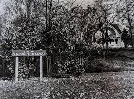 Image result for Croyden Cream 1956 Wayne Works