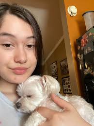 Lost dog in Independence area