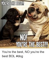 You can keep these memes for yourself and look at your amazing meme collection when you need a reminder of how awesome you truly are, or you can share them with friends to let them know that they're the coolest bunch around. Noj Moure The Best You Re The Best No You Re The Best Bol Dog Meme On Me Me