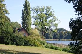 Jump to navigation jump to search. New Garden Potsdam Wikipedia
