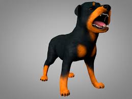 Dog Rottweiler 3d Model Max C4d Obj 3ds Fbx Lwo Stl 3dexport Com By Sapsan008 Rottweiler Dogs 3d Model