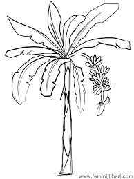 Free Banana Coloring Pages To Print Free Coloring Sheets Tree Coloring Page Coloring Pages Fruit Coloring Pages