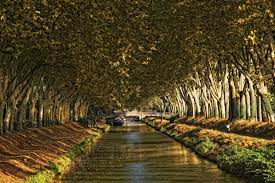 Canal De Brienne A L Automne C D Viet Visiteztoulouse Toulouse Toulouse Toulouse Tourisme Ville Rose