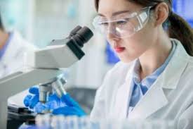 Plastic Eating Bacteria