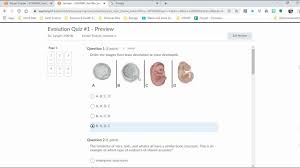 Get all of hollywood.com's best movies lists, news, and more. Rna Protein Synthesis Gizmo Activity B By Kristen Forsyth
