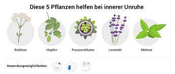 Sie helfen dabei, den angespannten inneren zustand zu lösen. Hilfe Bei Innerer Unruhe Ursachen Behandlung