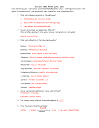 Download answer key complete first progress test. Key Unit 4 Test Review Guide Cells