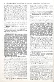 Image result for Vanwykia remota