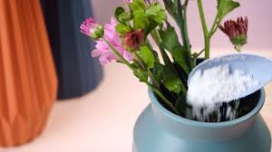 We did not find results for: 4 Ways To Make Fresh Flowers Last Longer Wikihow