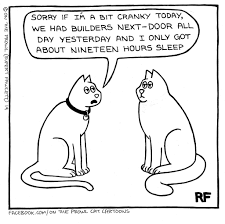 VCA Old Marple Animal Hospital